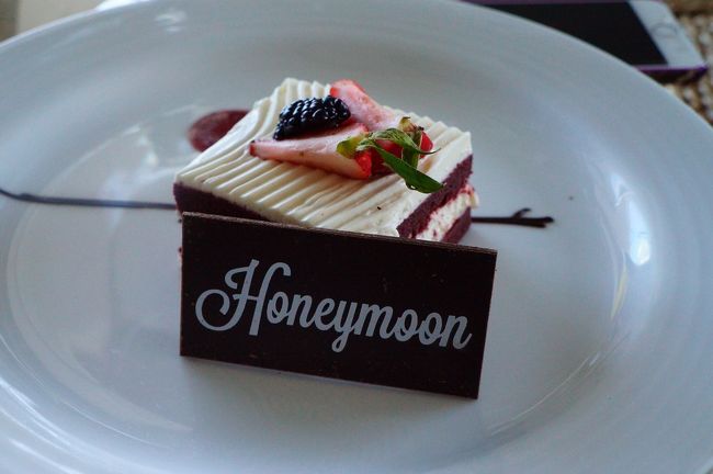 ケーキのプレゼントも！<br />ケーキは結構甘く、甘いの苦手なので…全部は食べきれず…