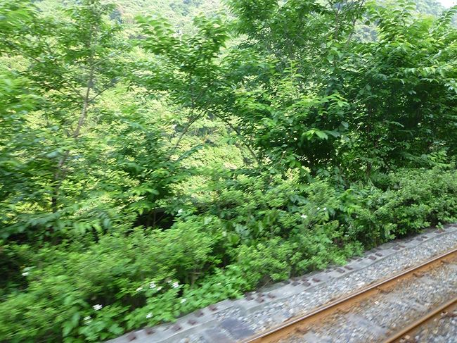 烏来観光トロッコから見る風景