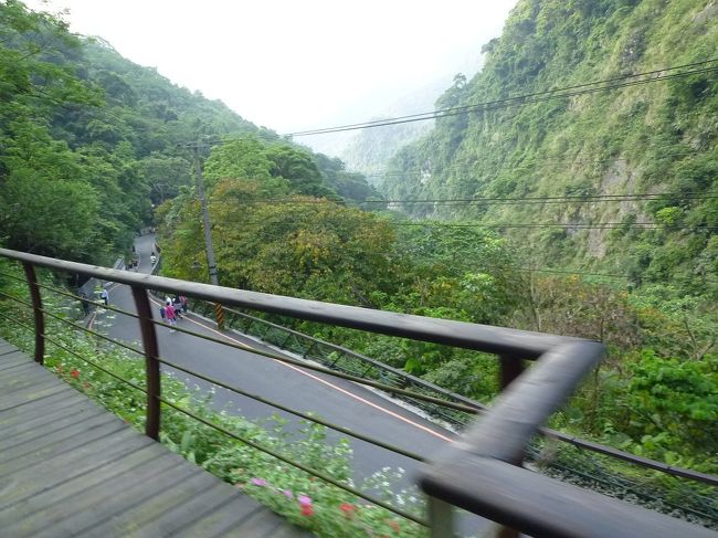 烏来観光トロッコから見る風景