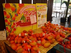 いよいよ宮古島に到着。宿に行く途中にマンゴーを買いに。
こちらは島の駅みやこ。今年は不作とのことでしたが、それでも沢山並んでいました。