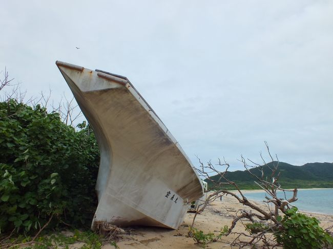 いつからあるのでしょうか。