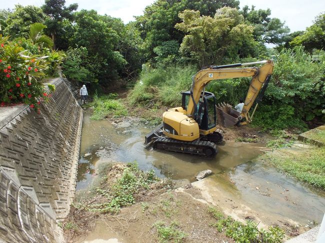 宿近くまで戻ると、川にショベルカーが入っています。<br />どうやら川のゴミをさらっているようですが、オオウナギが心配です。<br /><br />後ほど川を覗いてみたら、オオウナギが何匹も泳いでました。無事だったようです。