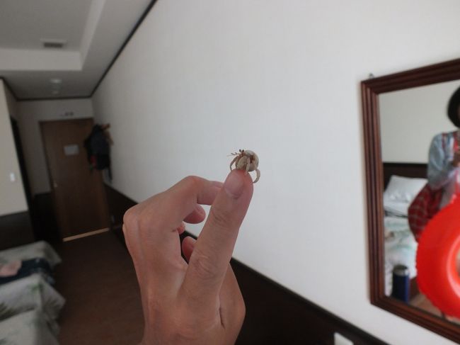 天気は良くないですが、夕食までは時間もあるので、裏手の明石海岸へ泳ぎに行きます。<br />昨日海へ出かけた時にヤドカリがバッグの中に紛れていたようで、海辺に返します。<br />でも、雨も降ってきたのですぐに戻ります。