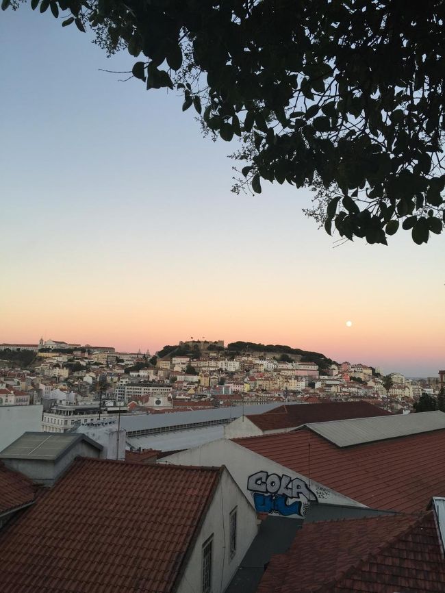 やっと日が暮れてきた