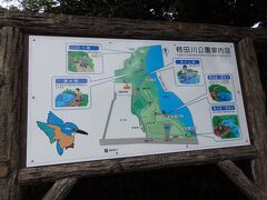 次に向かうのは柿田川公園。

見るだけでなく、湧水で水遊びできる広場もあるんだぁ。


