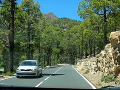 TF21号線(南側)の高度が上がって、標高1000〜2000m地帯になると、松の木が道の両脇に続くほどのコロナ森林自然公園に突入。

テイデ山を中心とするテイデ国立公園をさらに取り巻くように東西南北に広がっている自然公園がコロナ森林自然公園。
ちょっとした展望台もあちこちにあるので、車でテイデ山周辺を回ろうと思っている方は車を停めて周辺の眺めを楽しんでみましょう。
通行も展望台からの眺めも無料です。
