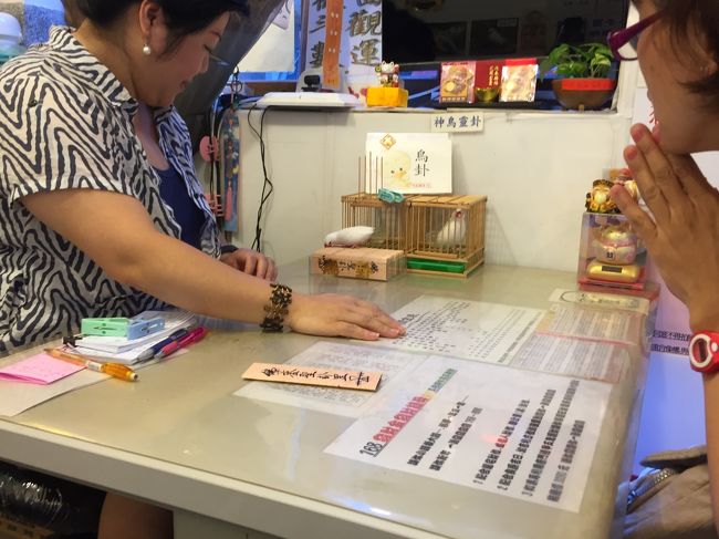 占いでーーーす！！<br /><br />鳥占いをしたかったのです。<br /><br />カードに自分の名前と生年月日を念じたら、鳥様がカードを３枚引いてくれます。<br /><br />かわいい。<br />選んでる姿も！<br /><br />そして終わったらちゃんと巣箱に帰ります。<br /><br />先生は日本語も達者なので非常に分かりやすかったです。<br />満足♪