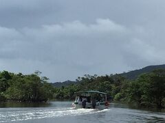 大原港でクルーズ船に乗り換えてジャングルクルーズへ。
オンシーズンのため、数隻に分かれ乗船。
クルーズ船は満員御礼です。
ぎゅうぎゅうで暑いけど、川面を渡ってくる風が気持ちいい。
