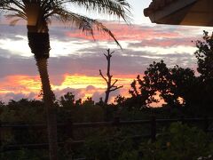 夕食はホテルのレストランへ。
予約してあった焼肉店 琉華 
リッチな雰囲気。
一回分の夕食がセットでしたので、飲みのも以外無料。