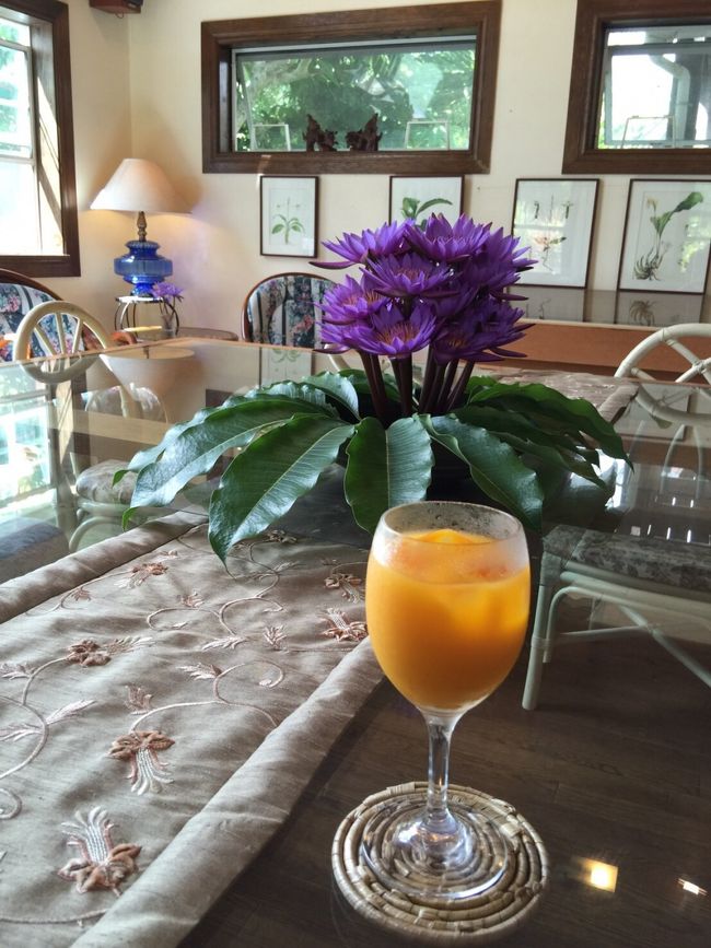 マンゴージュースが美味でした。<br />エアコンはないけど、外が暑過ぎなので<br />日陰が心地よく感じました。