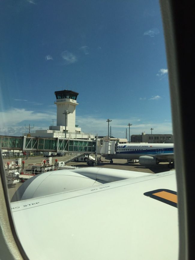 さよなら、石垣島。