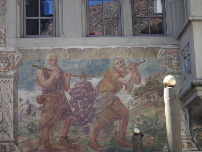 ありえない大きさのブドウを収穫するおじ様達、