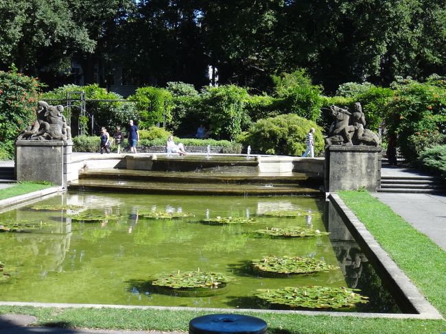 睡蓮もありましたが、まばら。