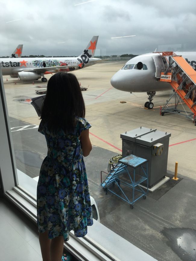 ママの影響で娘も飛行機を見るのが大好きです。