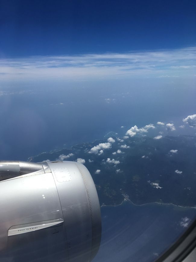 本島北部が見えて来ました...