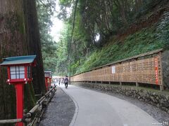 高尾山の杉並木（都の天然記念物に指定）

薬王院境内の参道に植えられた杉並木は、参道下にある巨杉とともに都内ではまれに見られるもので十数本あり、幹周り５．６ｍ、高さ４７ｍに達する巨樹もありますが、老樹であるため根元に近い所が空洞化していりものもあるそうです。