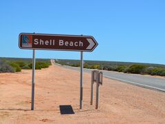 「Shell Beach」到着!!