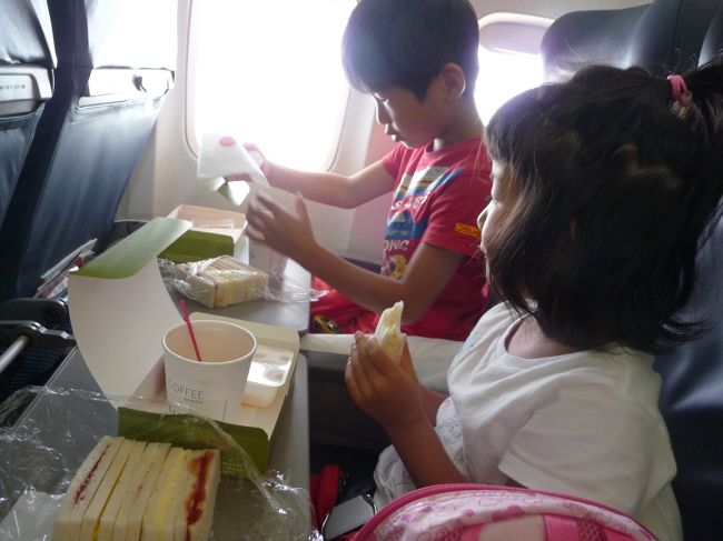 子供はチャイルドミールをリクエスト。卵とイチゴジャムのサンドイッチにゼリーにキットカットにりんごジュース。甘そう・・・・子供は大喜びですが。