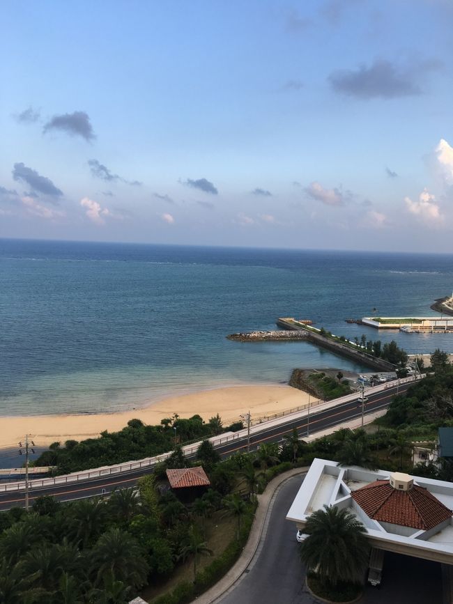 今日も良い天気になりそうです。