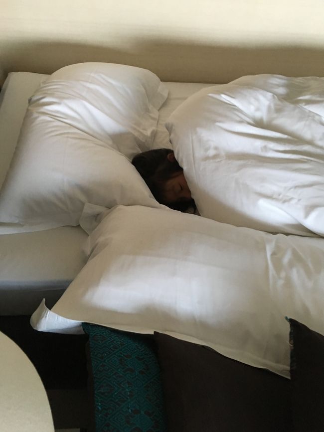 寝相が悪く、宿泊先のベッドから落ちた事もある為、枕とクッションでガード。 埋まってます...笑