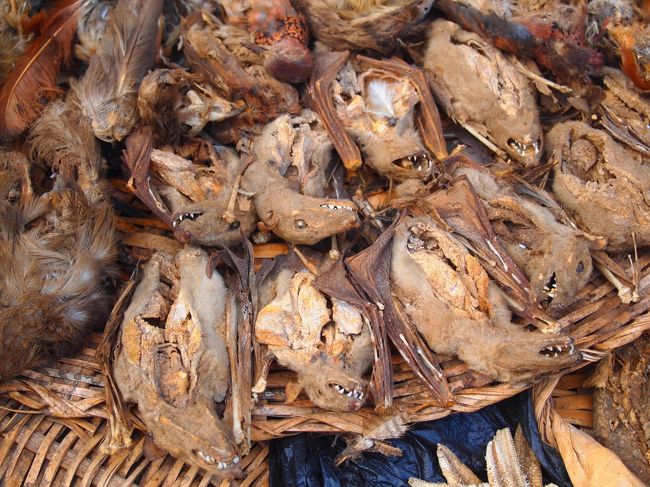 コウモリもリアルだねー。<br />理科室の内臓模型そのまんまって感じで綺麗に干からびてたw<br /><br />以上で終了。<br /><br />「グロすぎる」とか「動物可哀想」とか色々意見はあるだろうけど、個人的には非常に刺激的で良い経験させてもらったな〜ってところ。<br />世界にはまだまだ私の想像を遥かに超える色んな文化が存在するんだろうね！！<br />