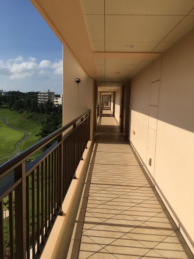 部屋を出ると一面緑で本当に気持ちがいいです。