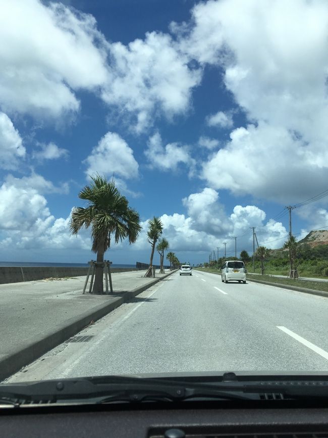 まだまだ車を走らせて、、