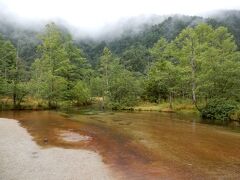もともとは、田代池という池なのですが、池になっている部分はあまり多くなく、草が生えてきて湿原化が進んでいるとのことです。