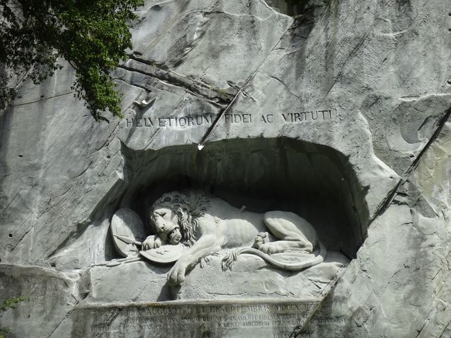 ルツェルンでは、まず代表的な観光スポットの「ライオン記念碑」へ。池を隔てた砂岩の岩壁を穿って造られているライオンのレリーフは意外に大きいものでした。<br />脇腹には槍が刺さり、瀕死の状態で苦悶の表情を浮かべているライオンの姿は、1792年のフランス革命の際、ルイ１６世とマリーアントワネットを民衆から守ろうとして命を落としたスイス人傭兵を悼んで造られたものだそう。当時産業のあまりなかったスイスからはお金で雇われて外国で傭兵となる人が多かったらしい。その名残で、今でもローマのバチカン宮殿はスイス兵によって警護されているとのことです。