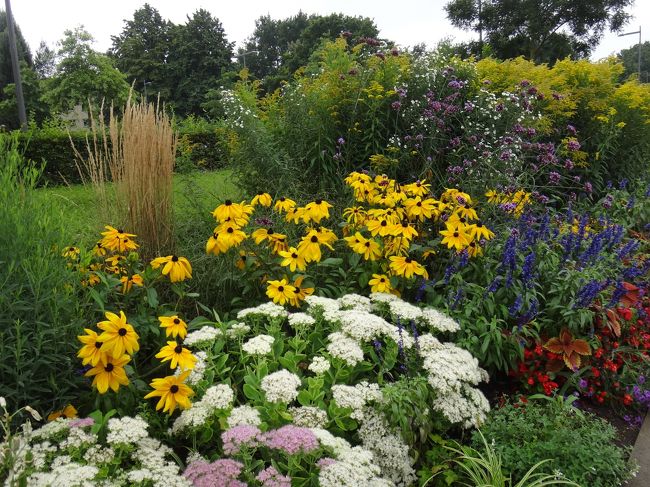 華やかな色合いのボーダー。