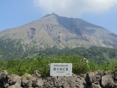 桜島＞有村溶岩展望所

南岳の麓、有村地区の大正溶岩原に作られた展望所です。
一面に広がる溶岩原と、その上に根を張るクロマツが、非日常の景色を作り出していました。ここから見る山は円錐型です。２つの山が並ぶ複合火山・桜島は、見る場所によって全くその姿が変わるのです。注目は、山の右(東)側８合目あたり。現在活動中の昭和火口がこのすぐ裏手にあるため、ゴーっという音(鳴動)や、噴火に伴う爆発音が聞こえることも珍しくないようです。

2016年8月現在、展望所は大規模改修中でした。