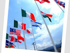 【リオ五輪、女子ゴルフ】

１１２年ぶりにオリンピック競技に復帰したゴルフ。１９０４年第３回セントルイスオリンピック以来なんです....といわれても....私も含め殆どの方がハテナ？でしょうが...。