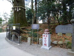 高尾山 ひっぱり蛸