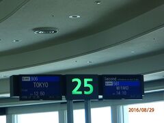 JAL906便


12:50那覇発　15:15羽田着。


ですが、羽田空港が混雑していて着陸出来ず、指示待ち。
30分位遅れたのでしょうか？
機内にて待ちました。
そして、いつもの如く離陸前に寝落ち。
小一時間位寝ていたようで、首が痛くなって起きました。
