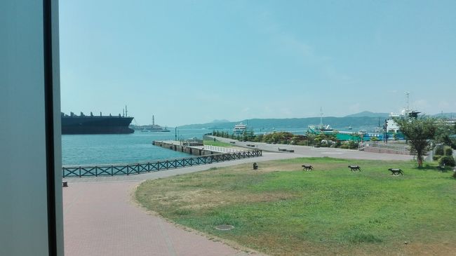 館内からは海を一望できる。この大和ミュージアムものすごく人が多くこれ以外の展示物は正直とても撮影できる状況になかった。まるで京都鉄道博物館のようである。