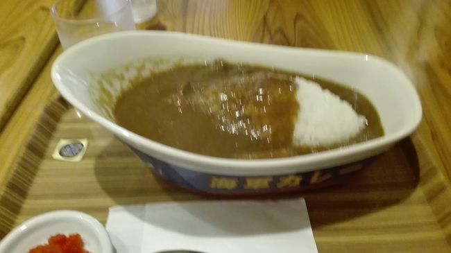 ちょうど昼時だったので呉駅近くで海自カレーを食べることにする。本当は「はくりゅう」のカレーがおいしそうだという話をしていたのだが平日は夜のみの営業ということで次においしそうだった「けんりゅう」のカレーを食べることに。<br />こちらもとてもおいしかった。潜水艦勤務は激務だという。彼らもこのカレーを金曜日に食べながら日夜日本の海の安全を守り続けている。