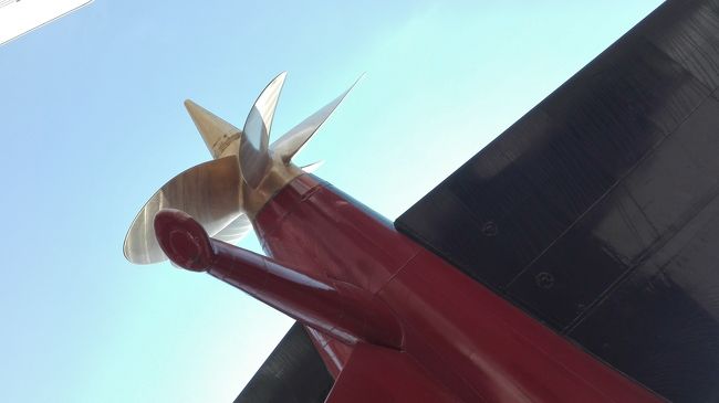 これだけ大きな船体でもスクリューは1つしかない