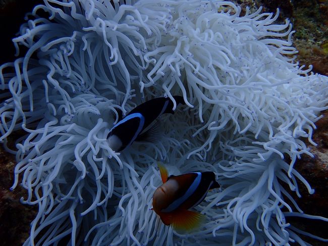 やる気なくライトつけずに手抜きで<br />すいません〜