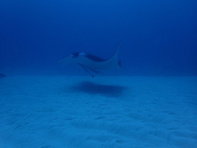 翌日は よなら水路 <br />底で水温26度 ちゅめたい〜 笑
