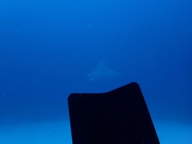 流れ緩く 暇なので キック 