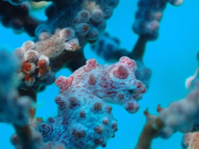 一番感動でした ありがとうございます 笑