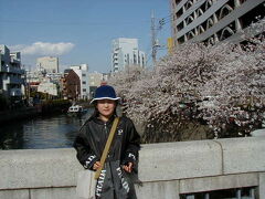 大岡川の桜

ここもハゼ釣りのメッカです