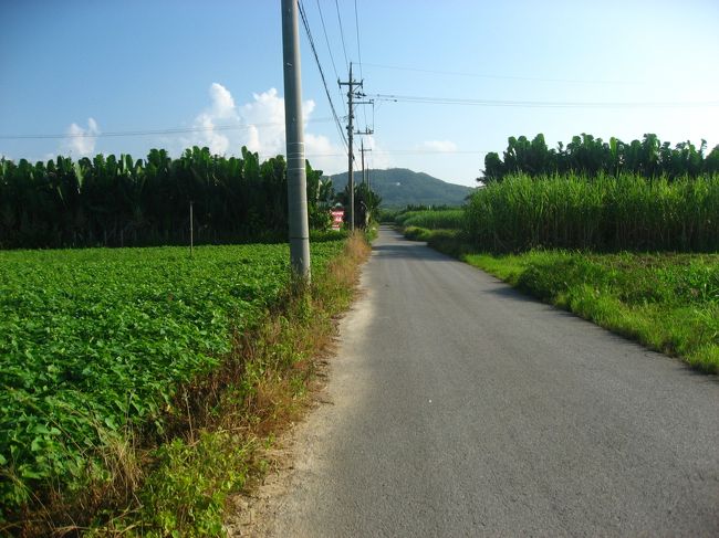 めざしている「とうふの比嘉」は畑の中にあります。
