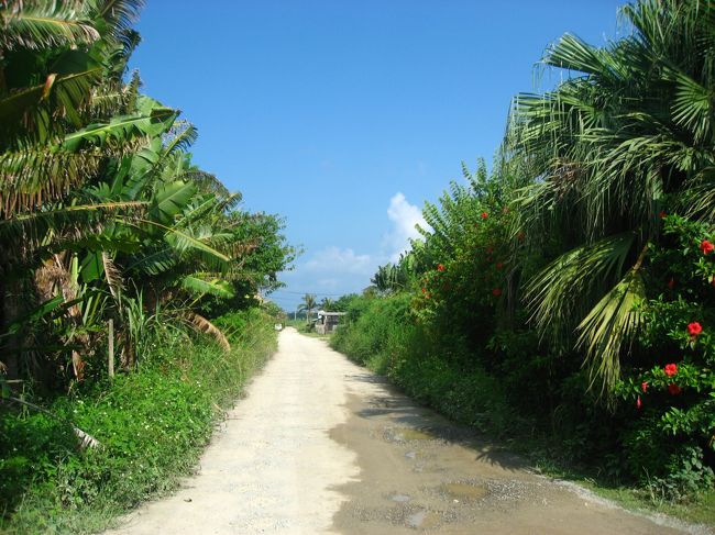 来たときとは別の道から帰りました。お店をでて右側に進みます。