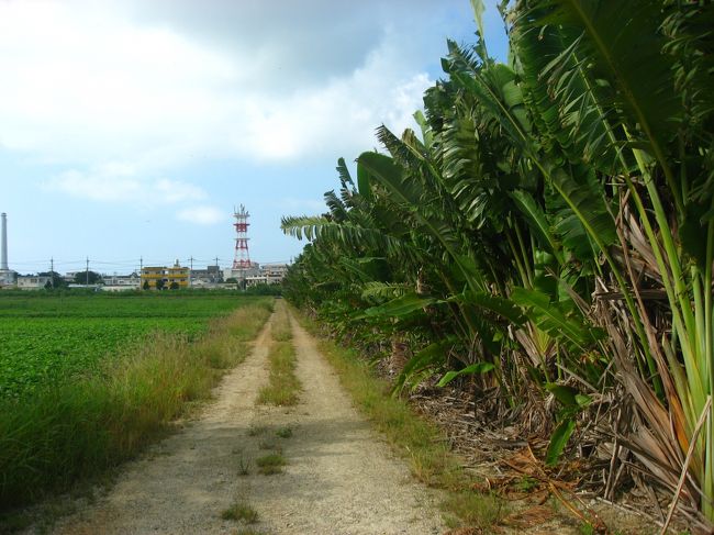 地図を見ていたとき通ろうと思っていた道から帰ります。来るときは少し迷ってしまいました。