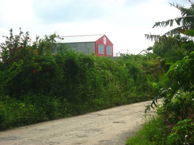 とうふの比嘉の建物が少し見えます。