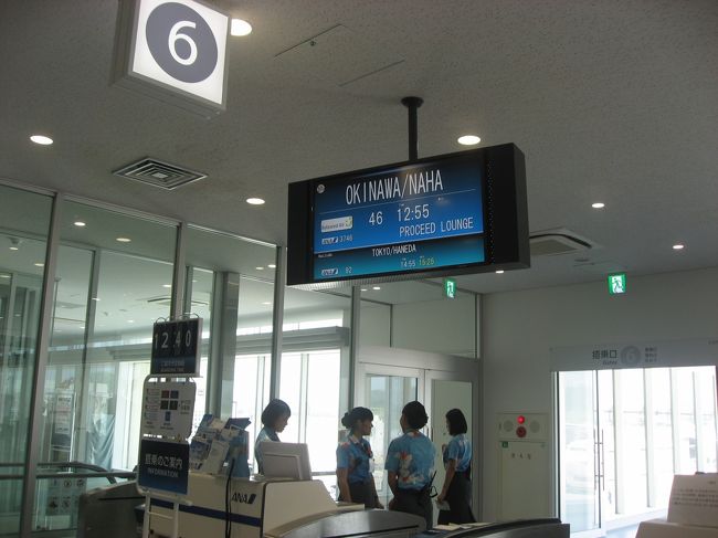 この日は12:55発の飛行機で那覇に移動して、明日の朝、東京に帰る予定です。