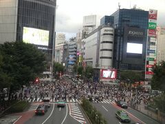 次は渋谷に行きたいんですって。
スクランブル交差点とハチ公見たいとのこと。
