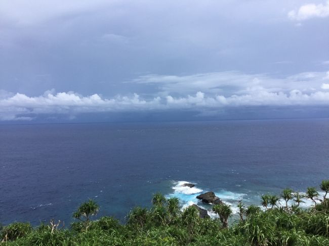 お日さまが出ると 青の色がさらに素敵です。<br /><br />