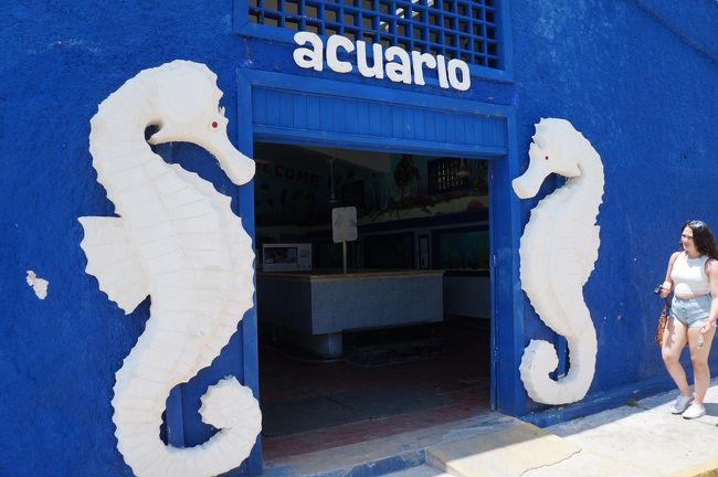 水遊び後は、来てるもの乾かしがてらドライブ。ウミガメ保護センターがあったので、立ち寄り。